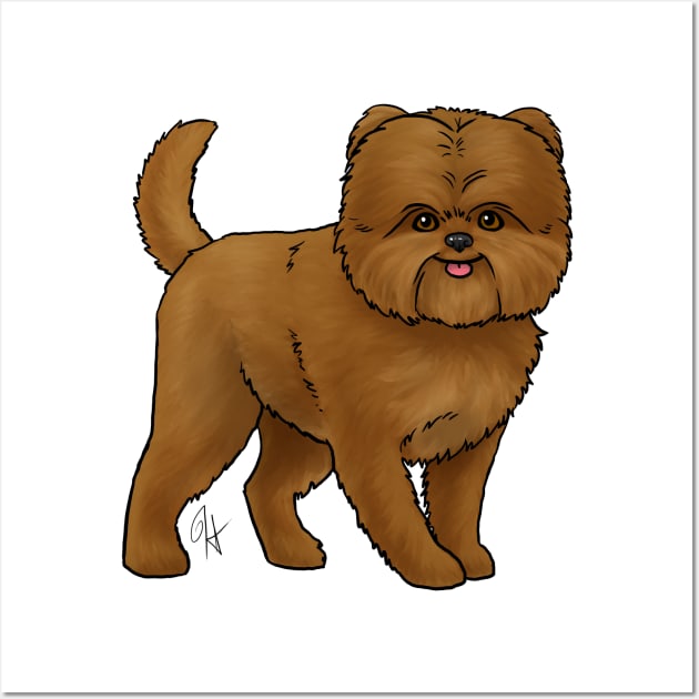 Dog Affenpinscher Red